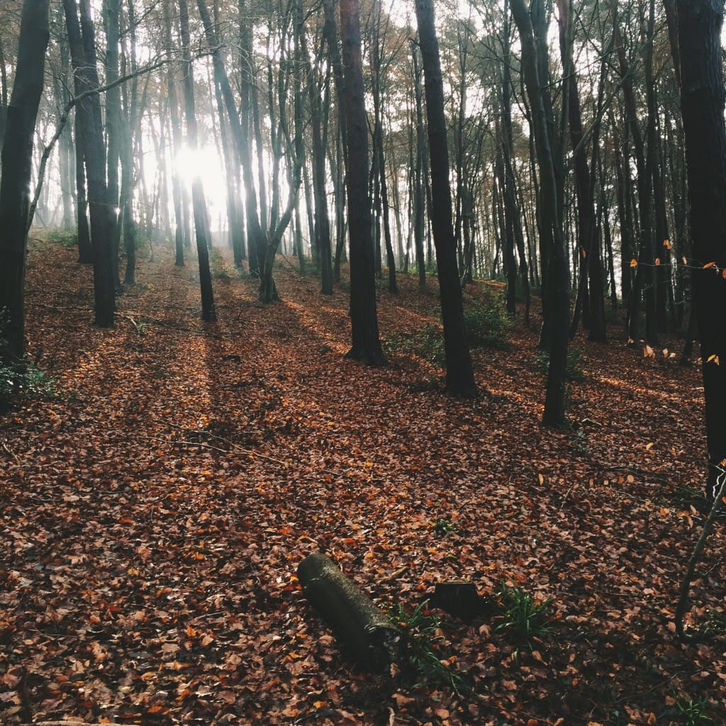 Processed with VSCOcam with f1 preset