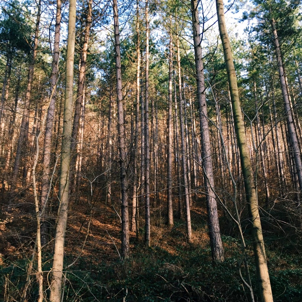 Processed with VSCOcam with c3 preset