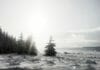 Les Hautes Fagnes en hiver : Topo Rando Trail