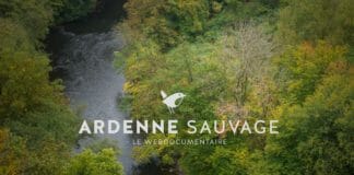 Ardenne Sauvage