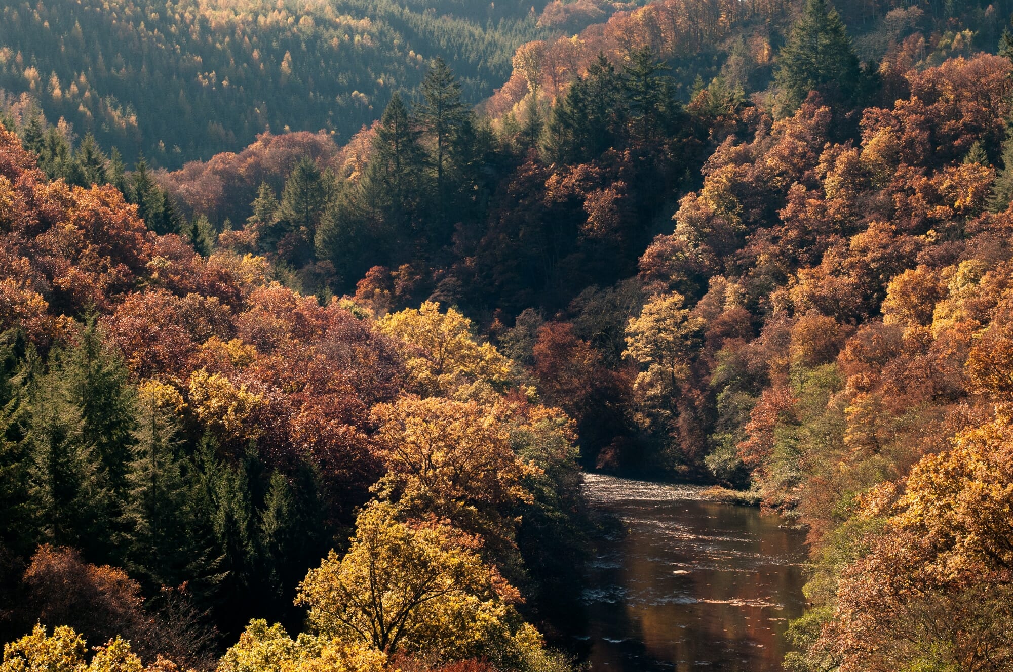 Ardenne mystérieuse