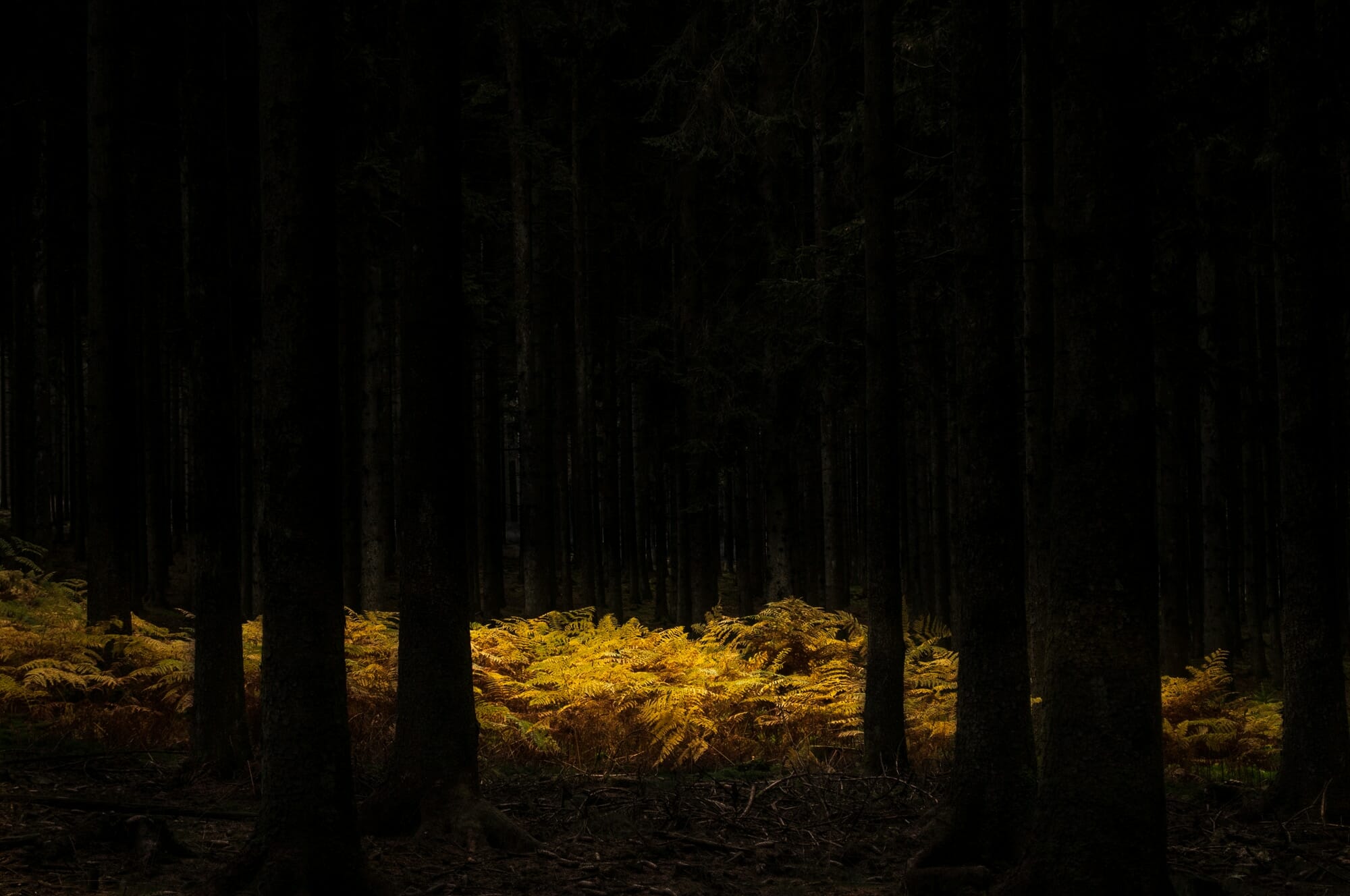 Ardenne mystérieuse