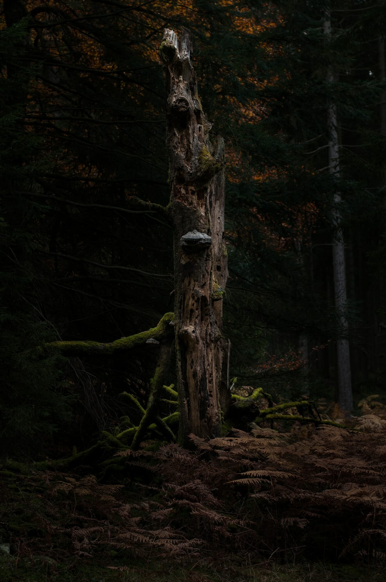 Ardenne mystérieuse