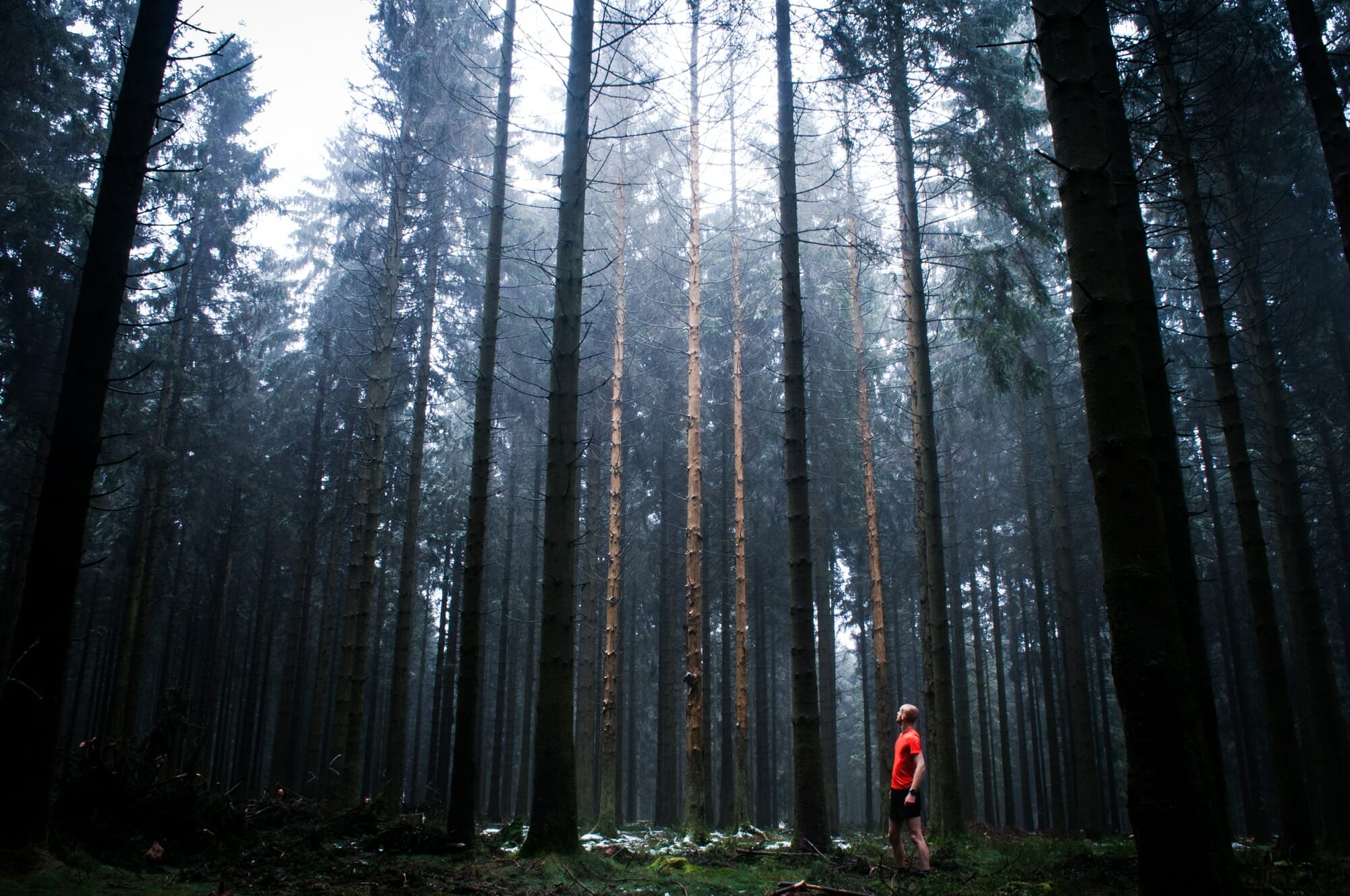 Trail en Ardenne