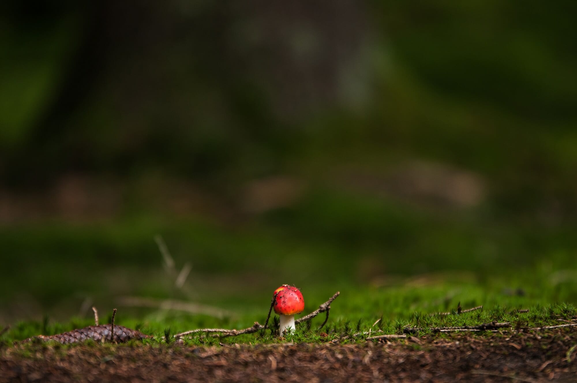 Ardenne mystérieuse