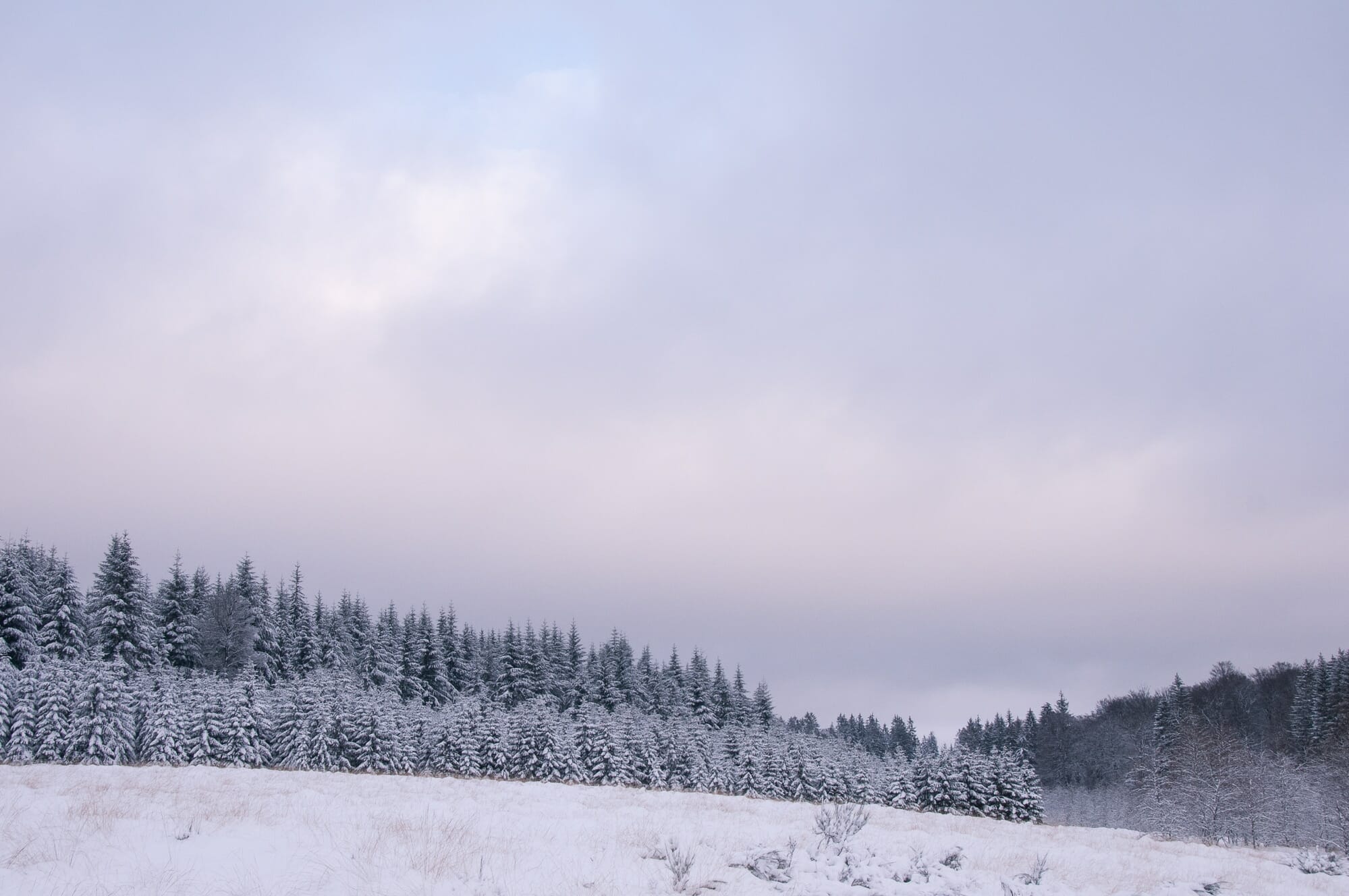 microaventure hivernale