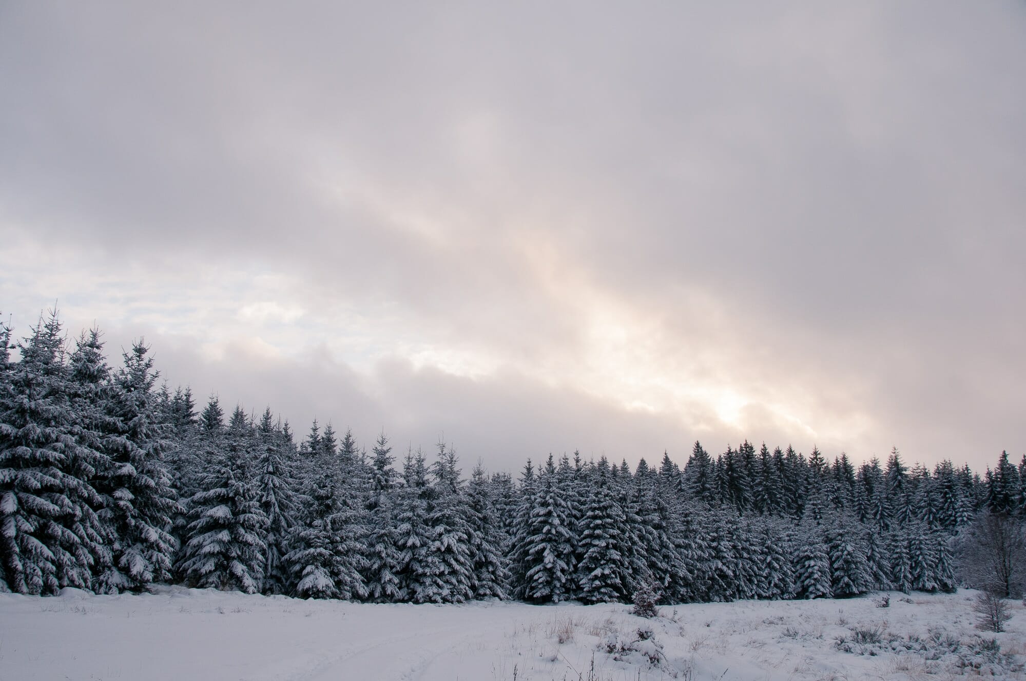 microaventure hivernale