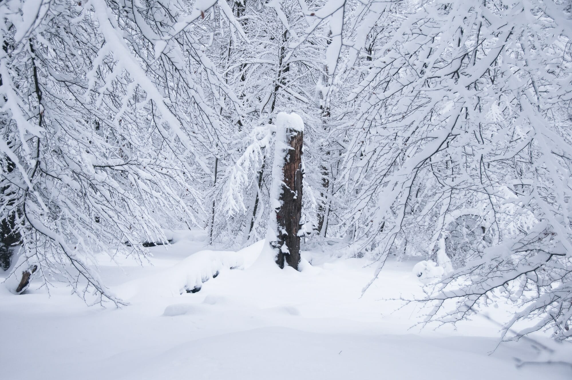 microaventure hivernale