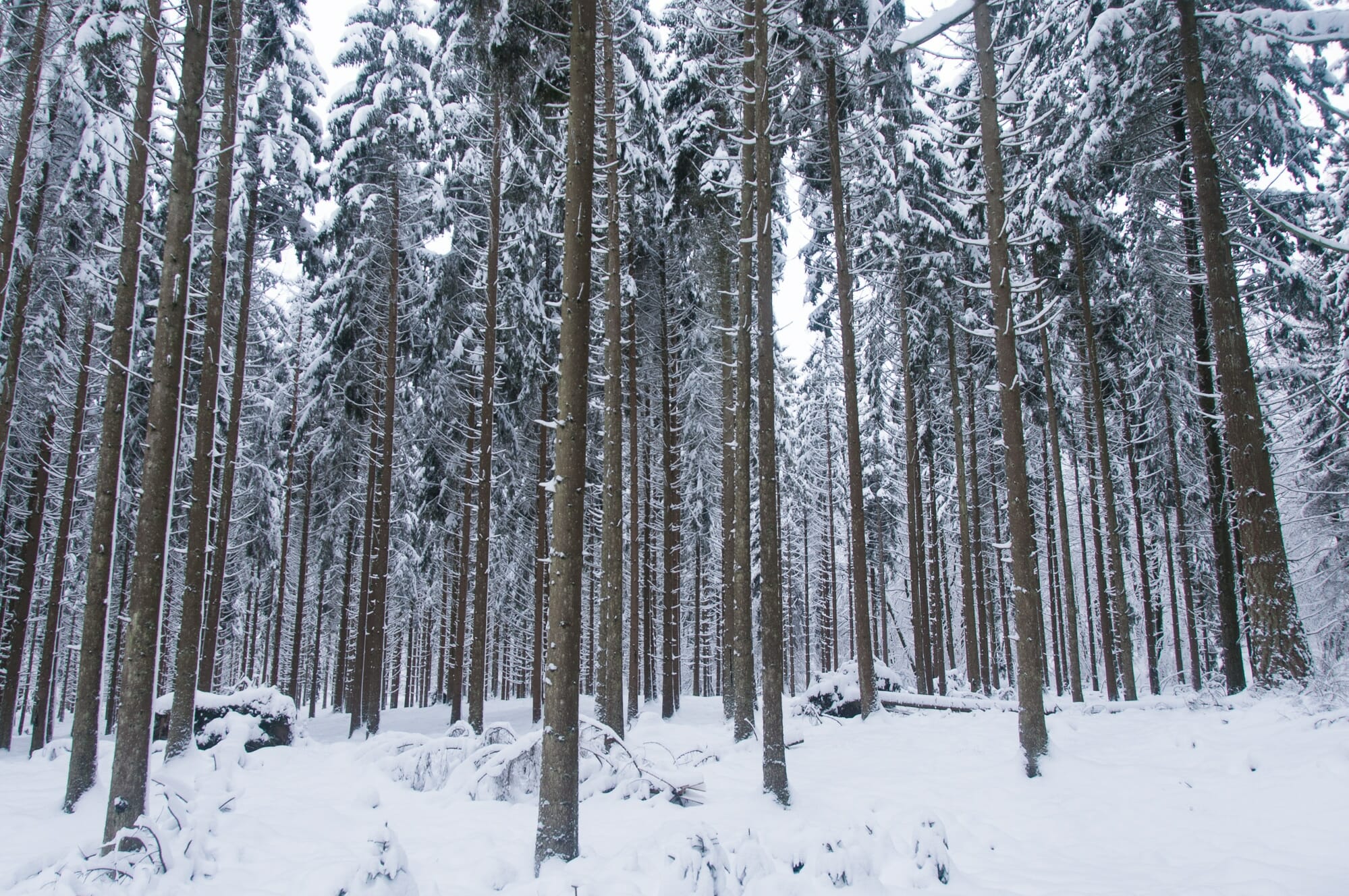 microaventure hivernale