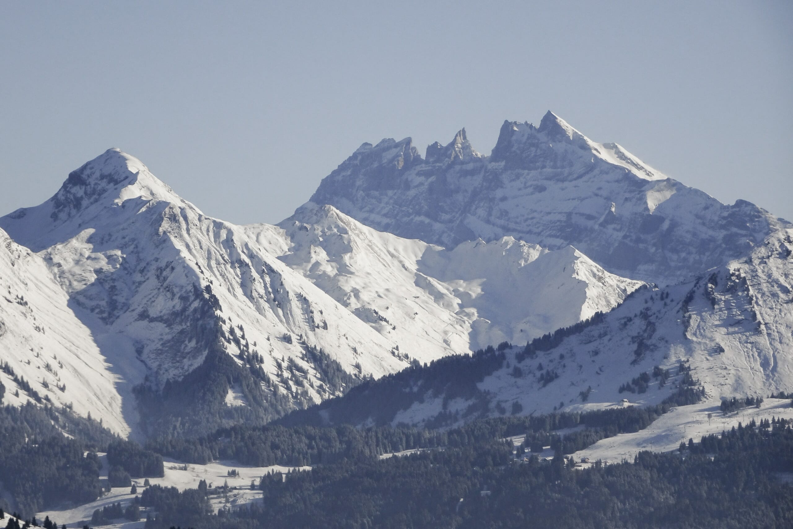 Trail Blanc Praz-de-Lys