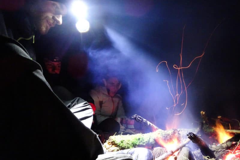 Loup en Ardenne