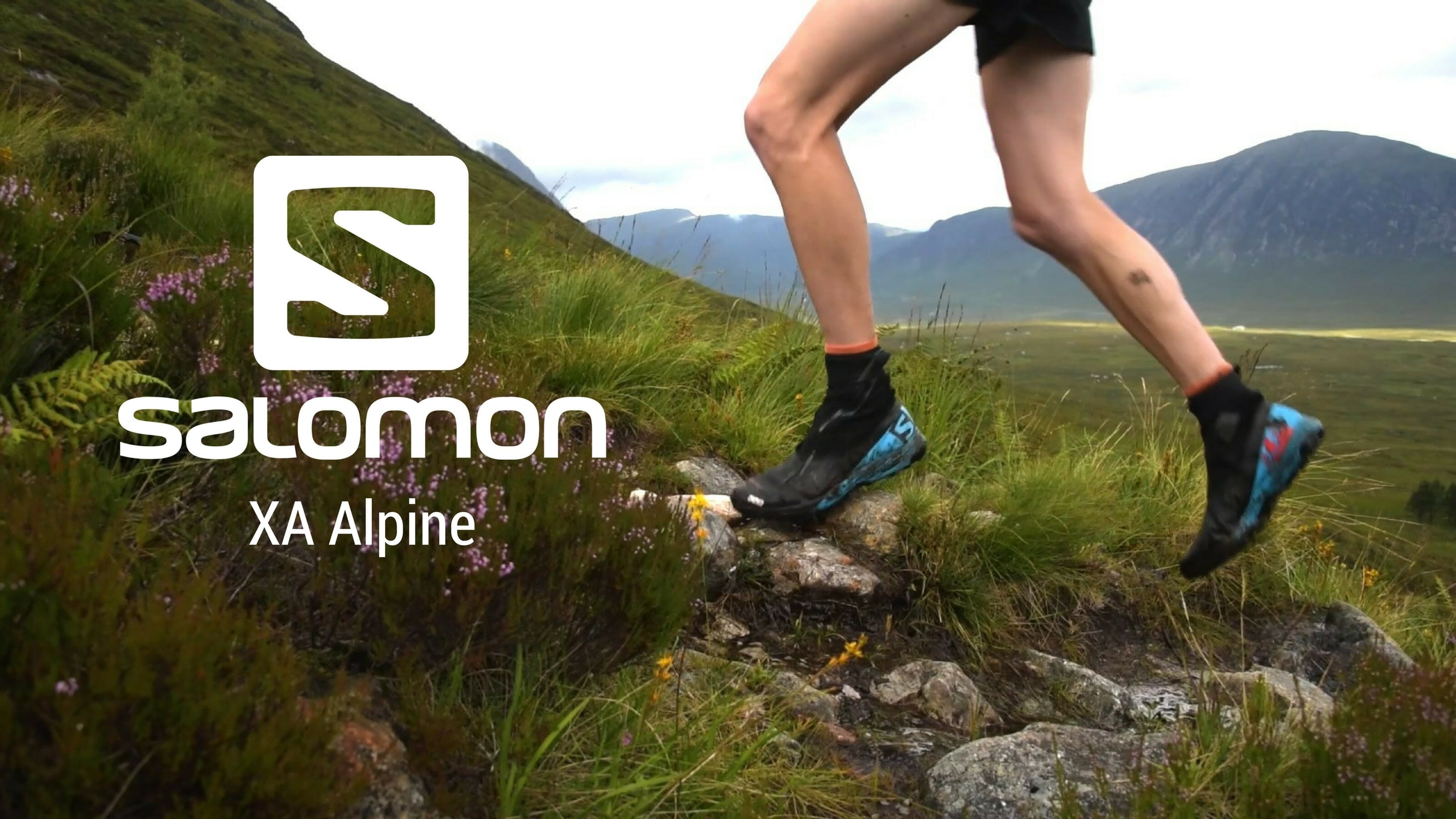 Salomon xa alpine pro online