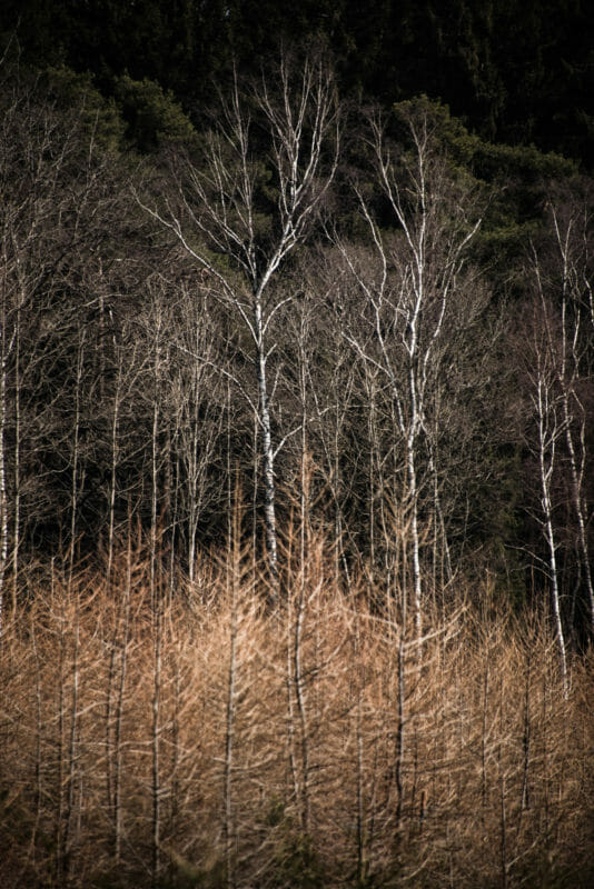 Rando et Bivouac autour de Saint-Hubert