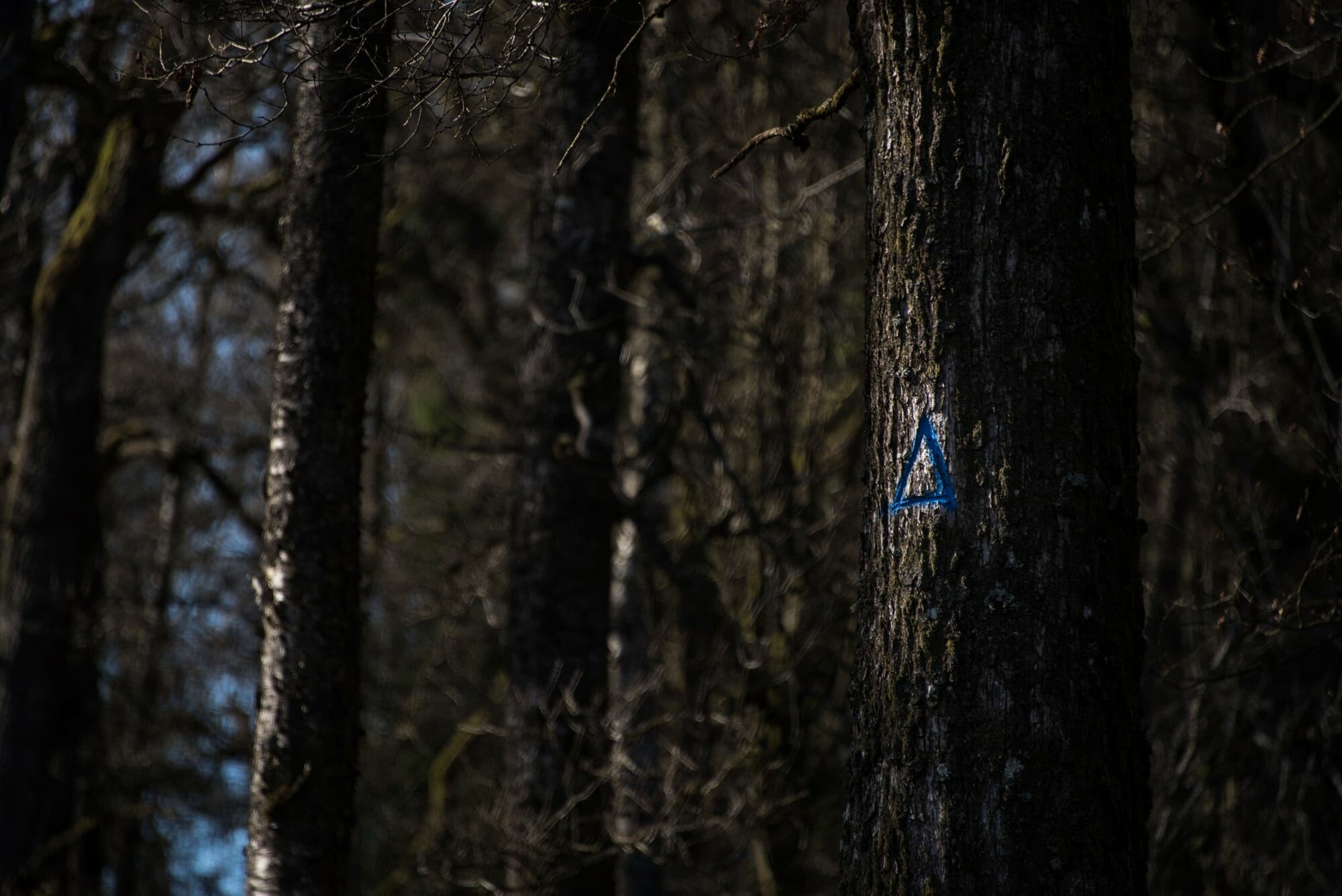 Rando et Bivouac autour de Saint-Hubert