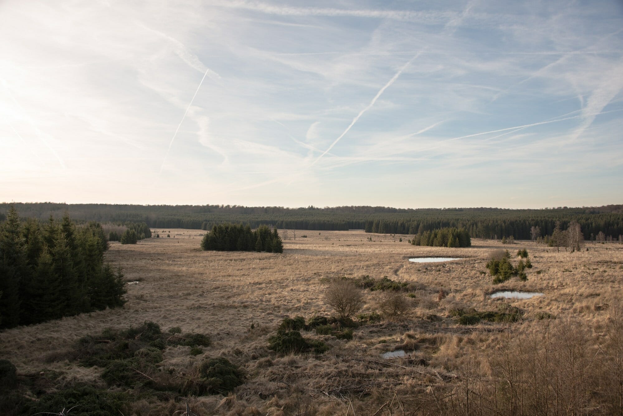 Rando et Bivouac autour de Saint-Hubert