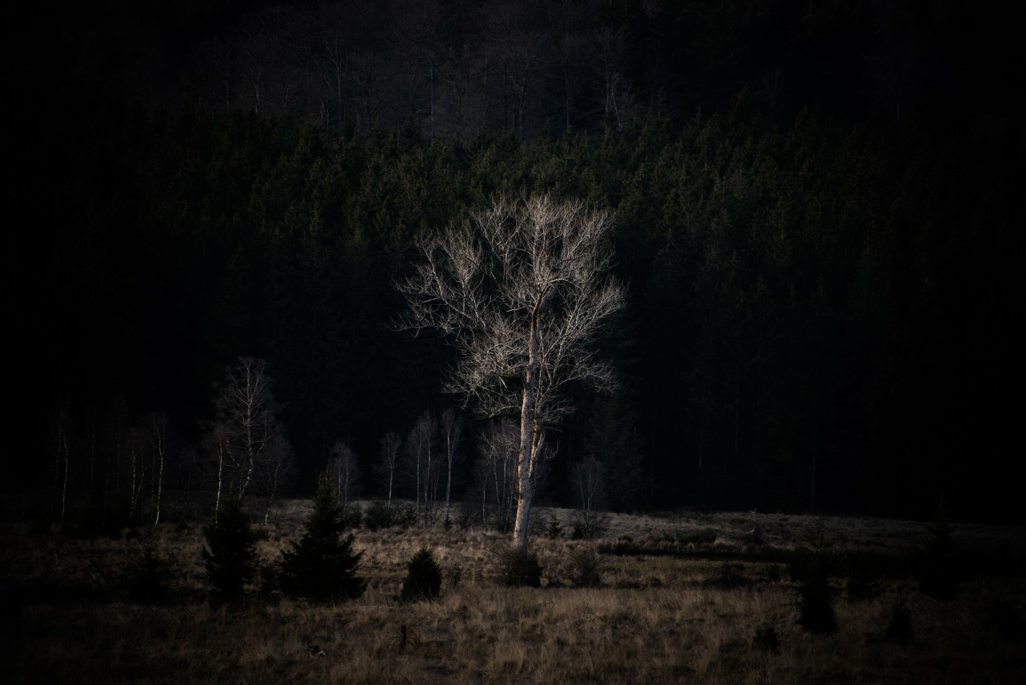 Rando et Bivouac autour de Saint-Hubert