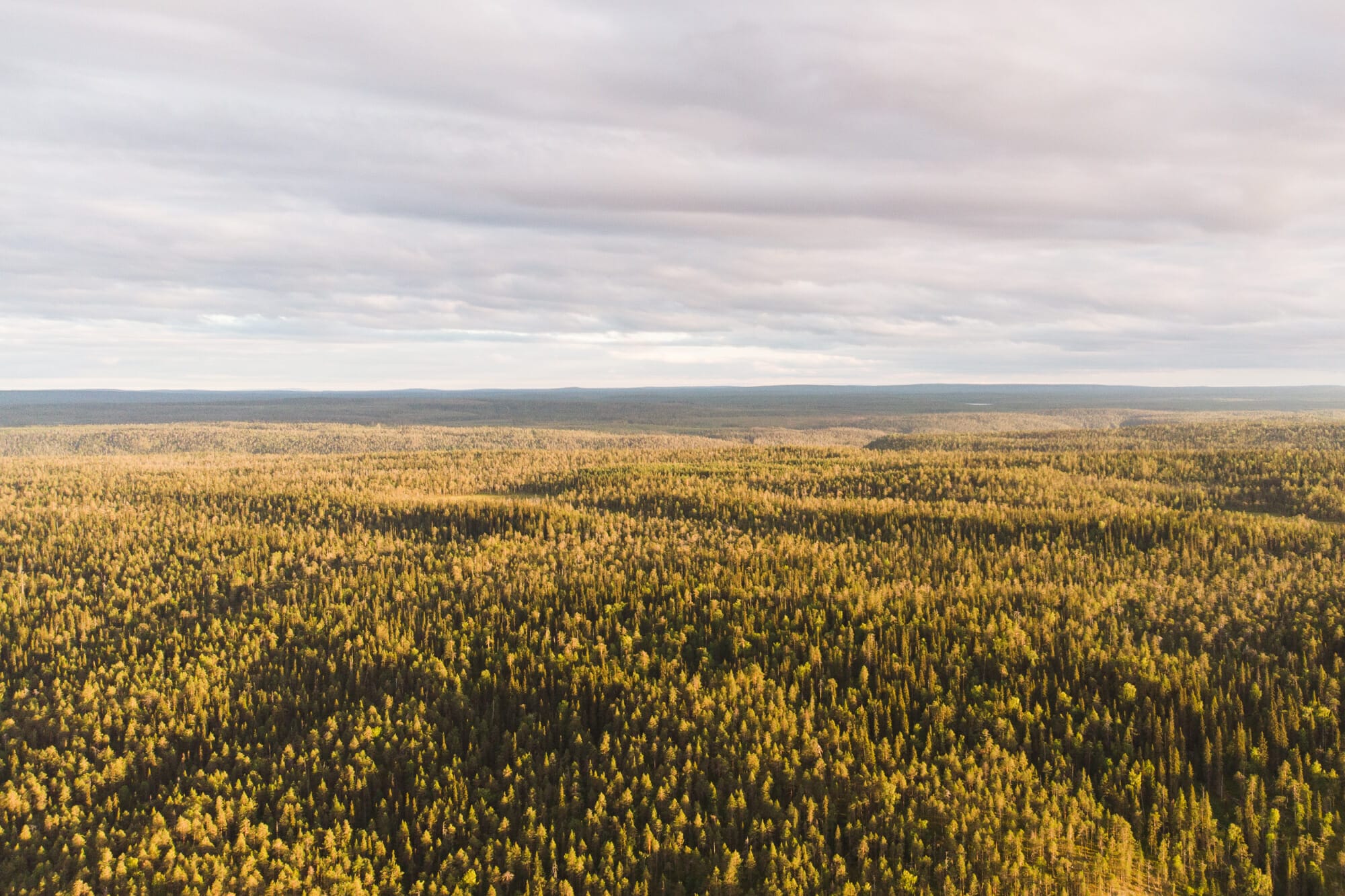 Packraft sur la rivière Oulanka - Itinéraire de 7 jours en Laponie finlandaise, parcs nationaux finlandais