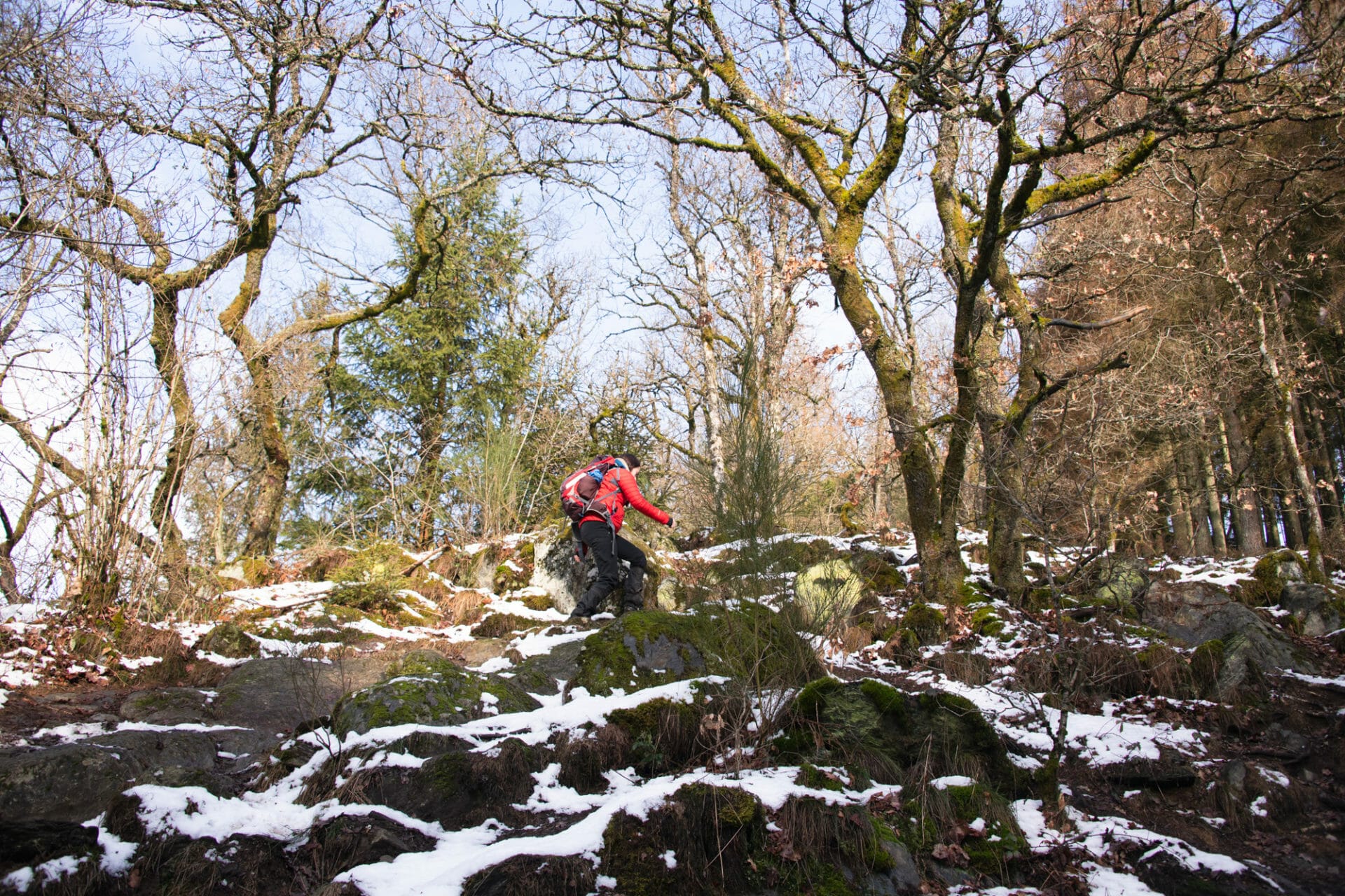 Randonnée hivernale au départ de la brasserie Chouffe - Sentiers du Phoenix