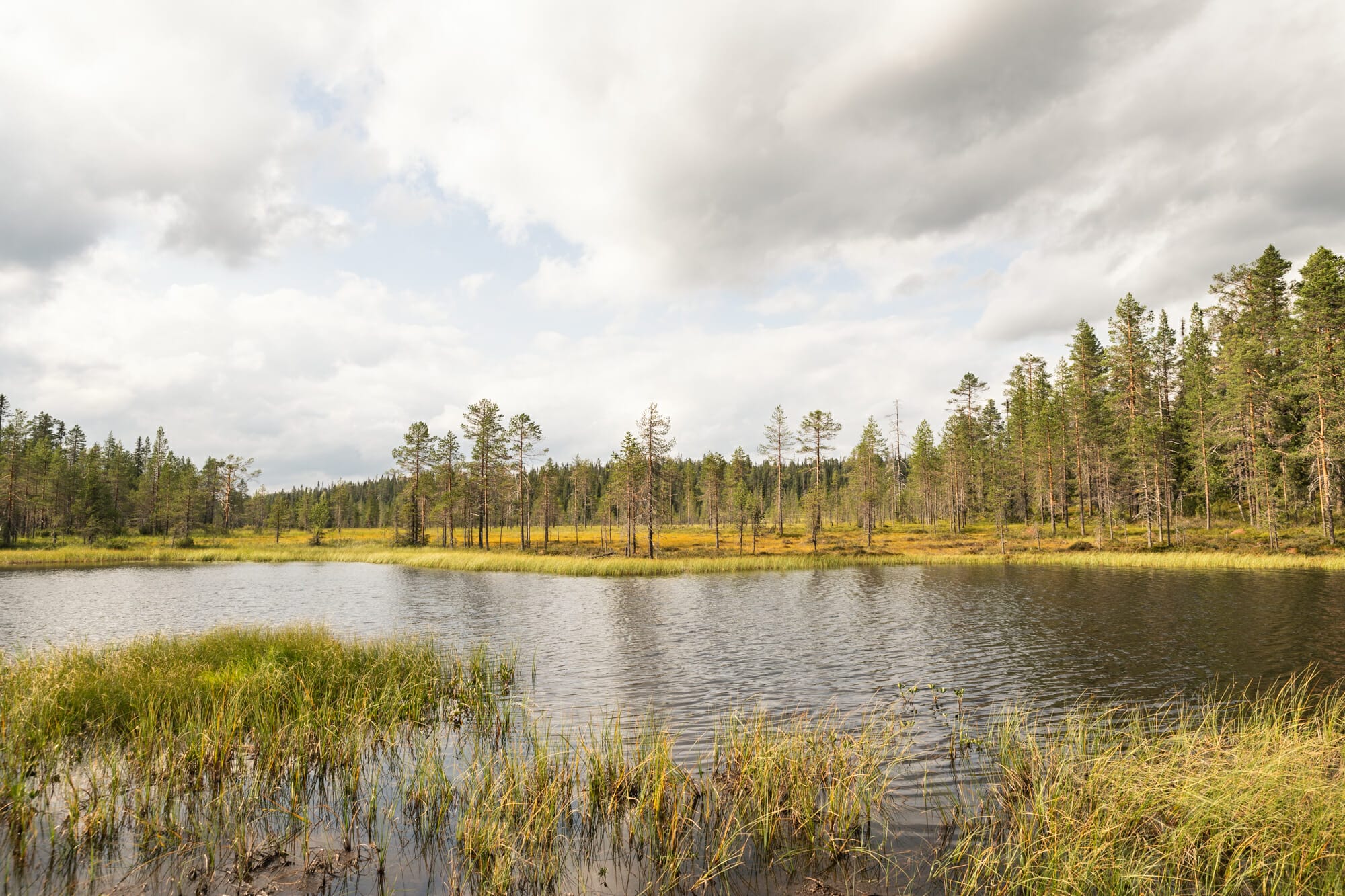 Randonnée dans le parc national de Riisitunturi en Laponie finlandaise, parcs nationaux finlandais