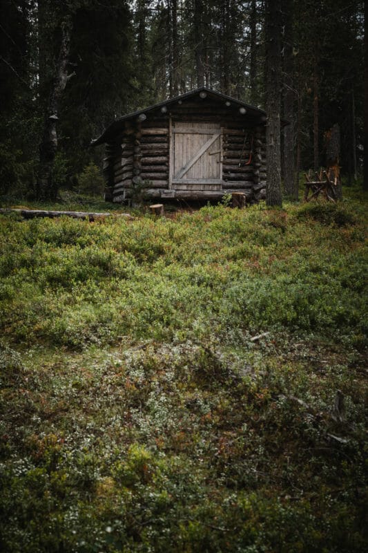 Rando dans le parc national de Riisitunturi en Laponie finlandaise