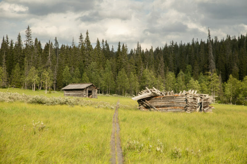 Randonnée dans le parc national de Riisitunturi en Laponie finlandaise