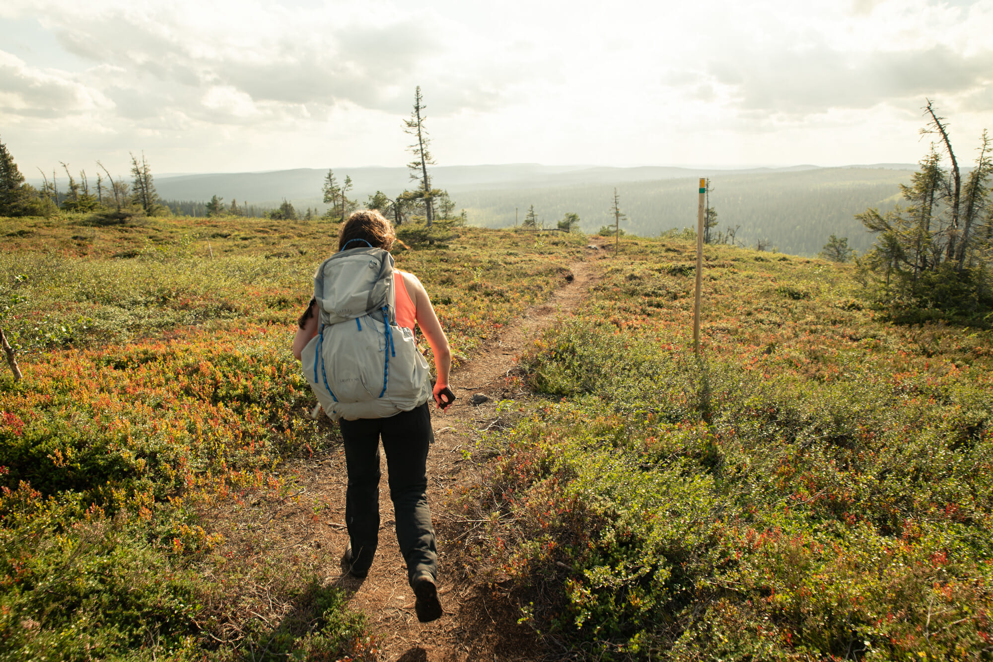 Rando dans le parc national de Riisitunturi en Laponie finlandaise