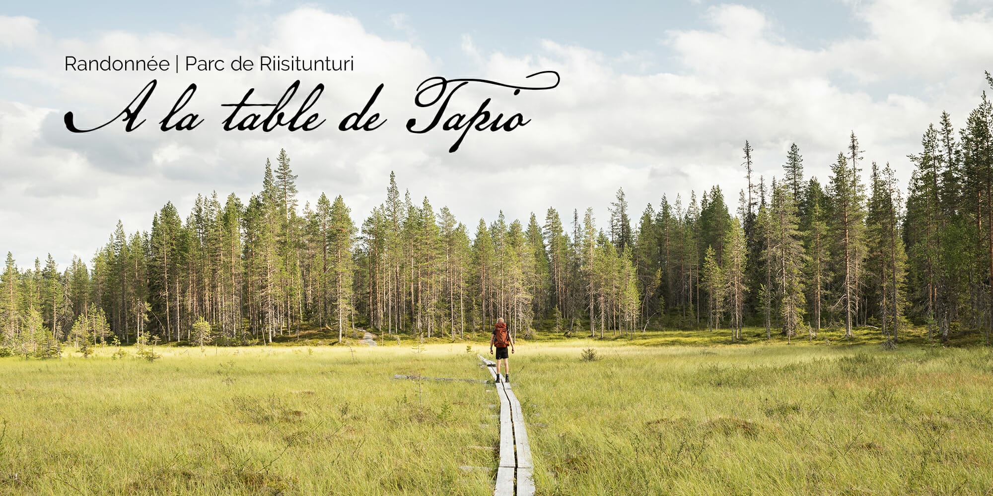 Randonnée dans le parc national de Riisitunturi en Laponie finlandaise