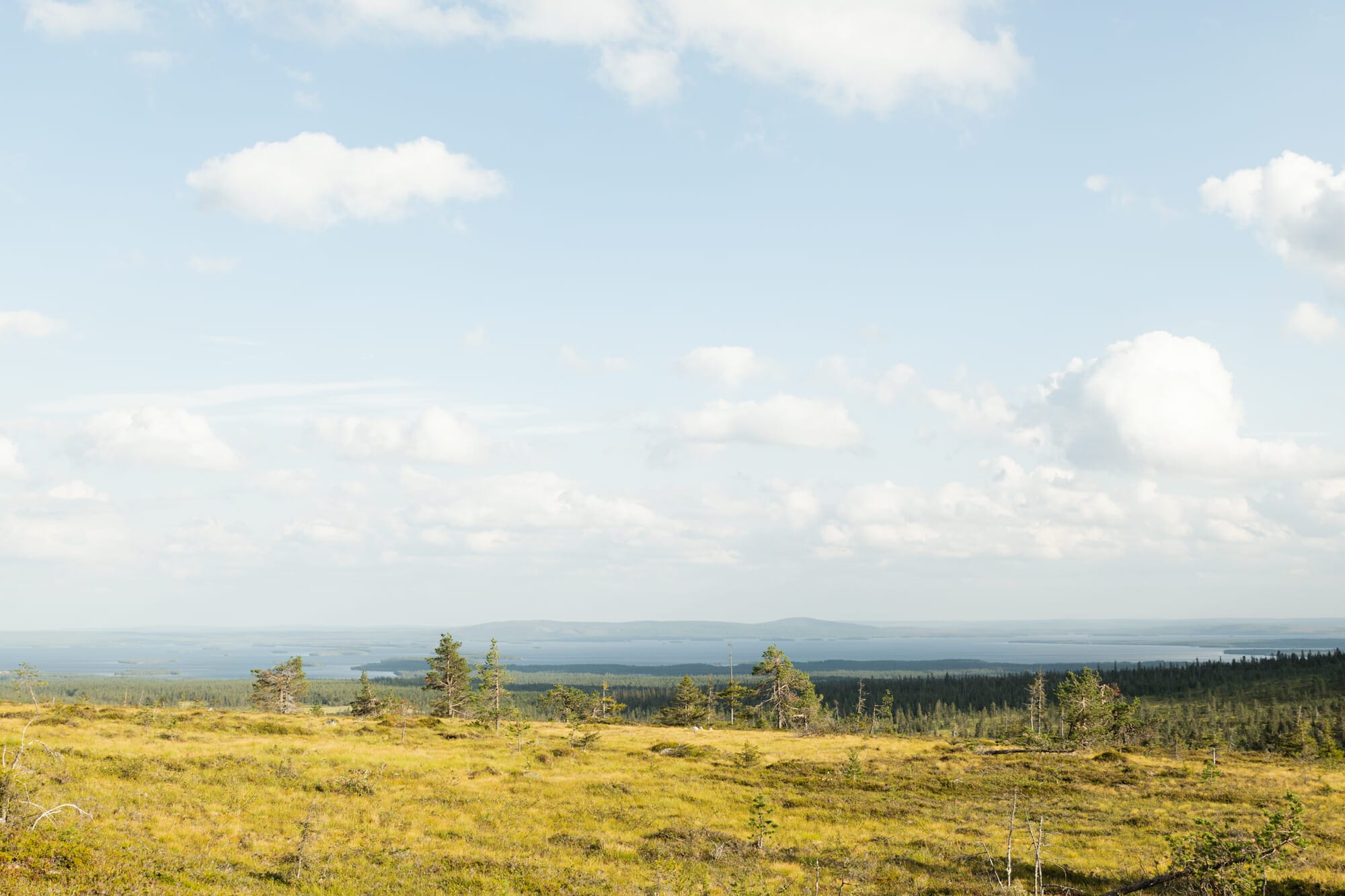 Rando dans le parc national de Riisitunturi en Laponie finlandaise