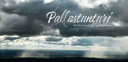 Randonnée au coeur de Pallastuntunri en Laponie finlandaise