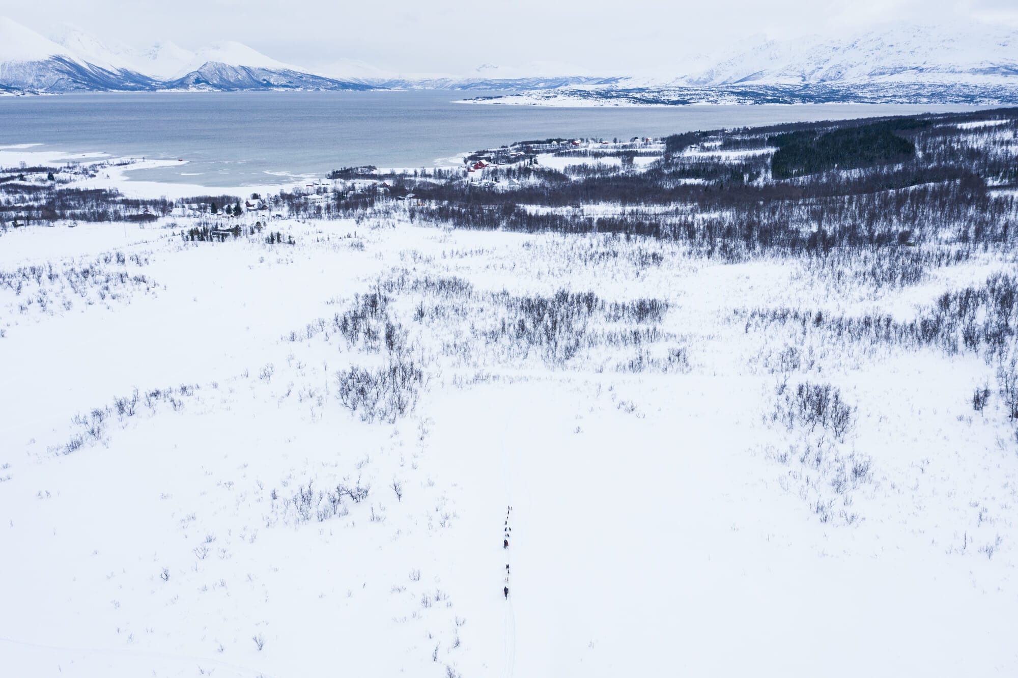 Traineau et paysage enneigé à Tromsø Norvège du Nord