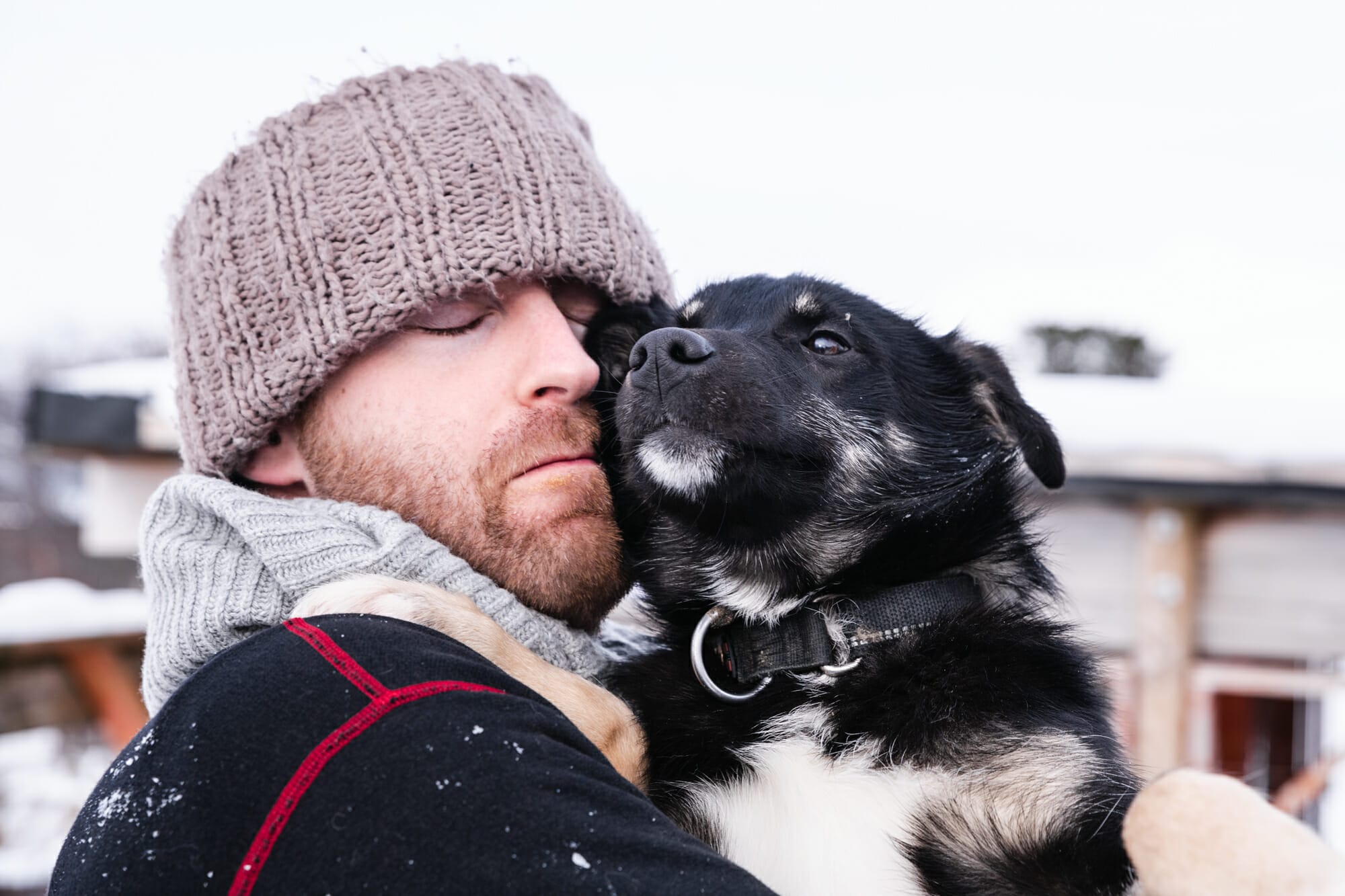 homme serrant un chien, Tromsø 