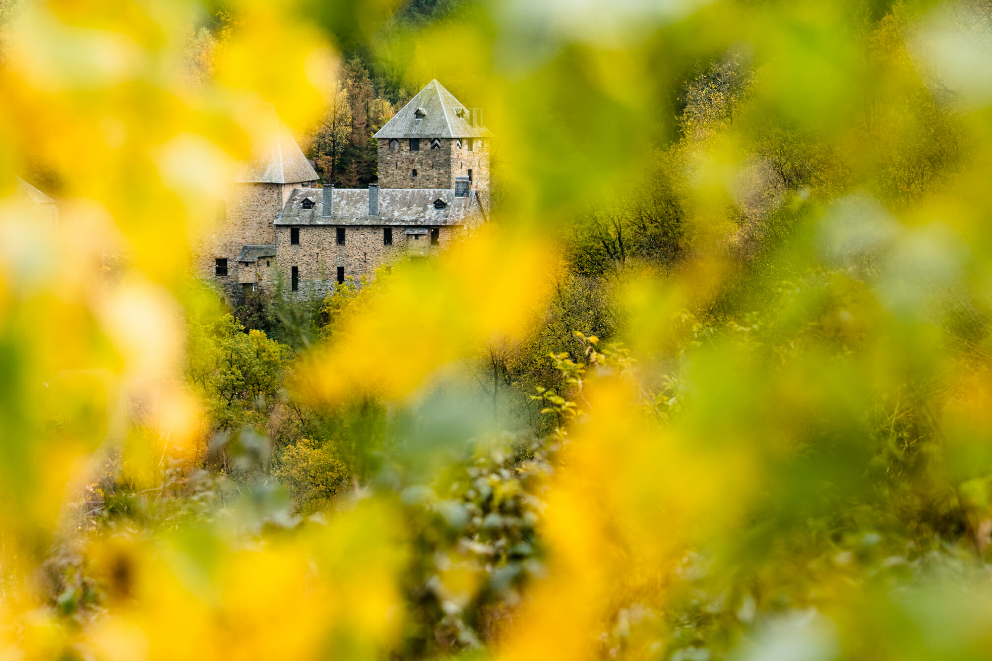 Château de Reinhardstein