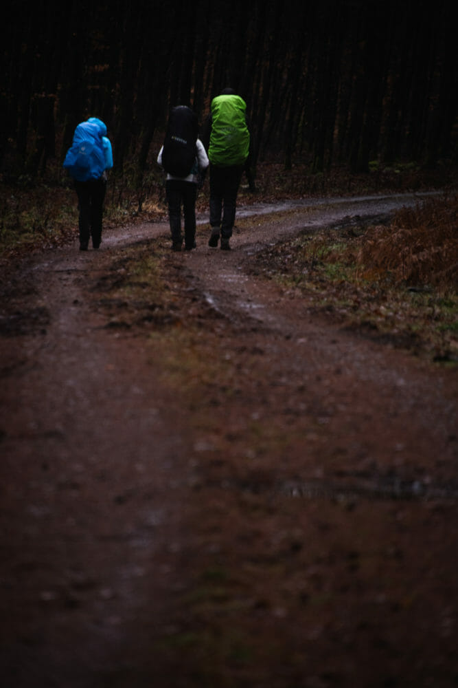 Entre Lesse et Lomme