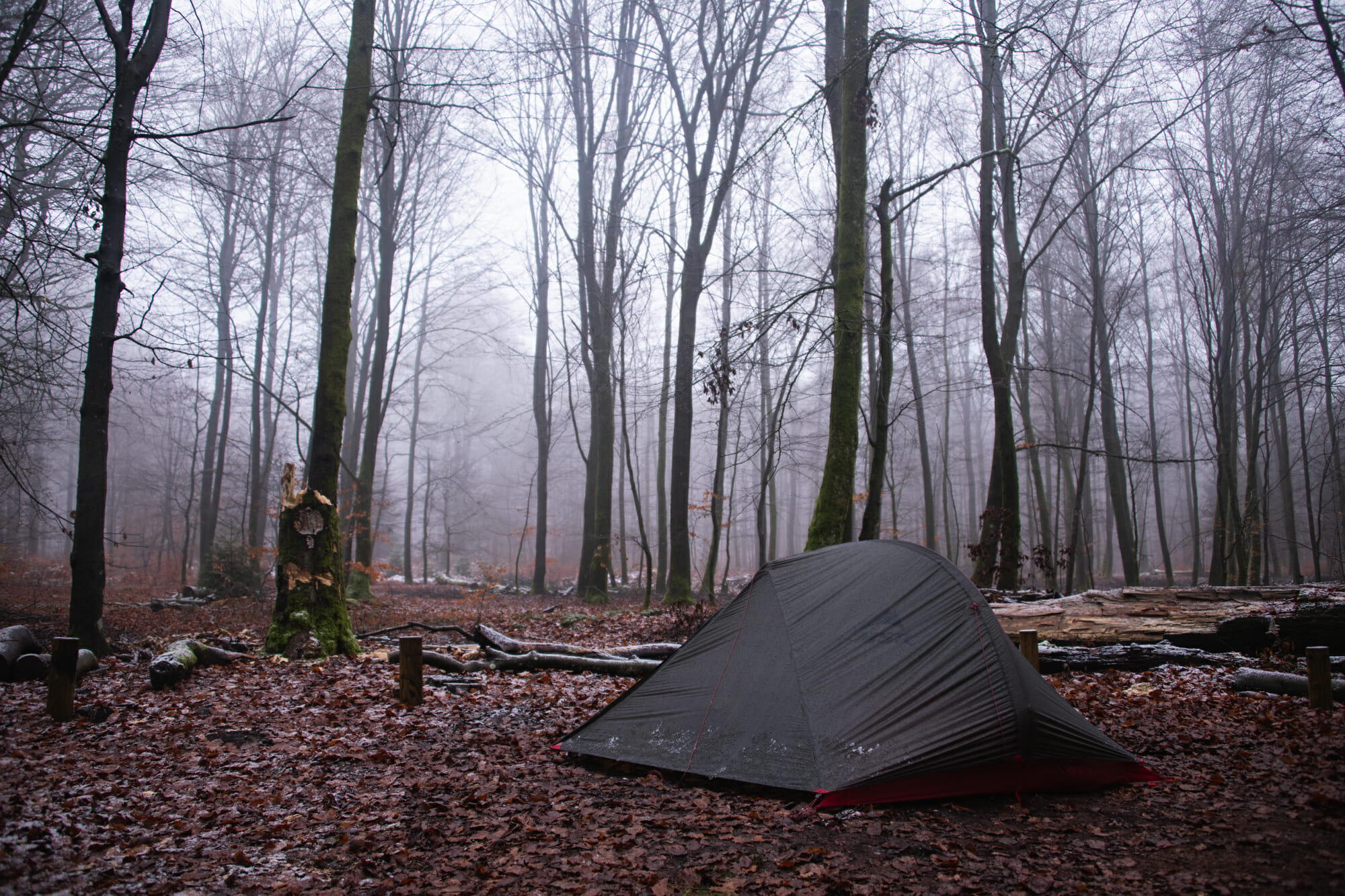 Bivouac Entre LEsse et Lomme