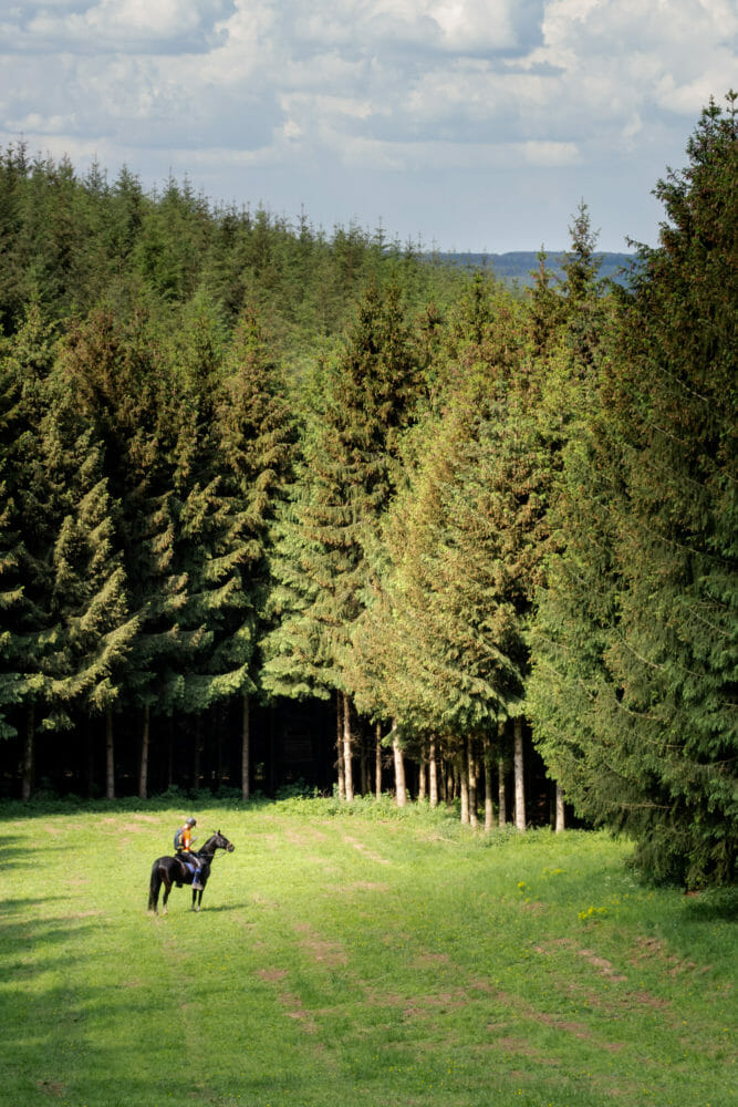 Randonner à cheval en Ardenne