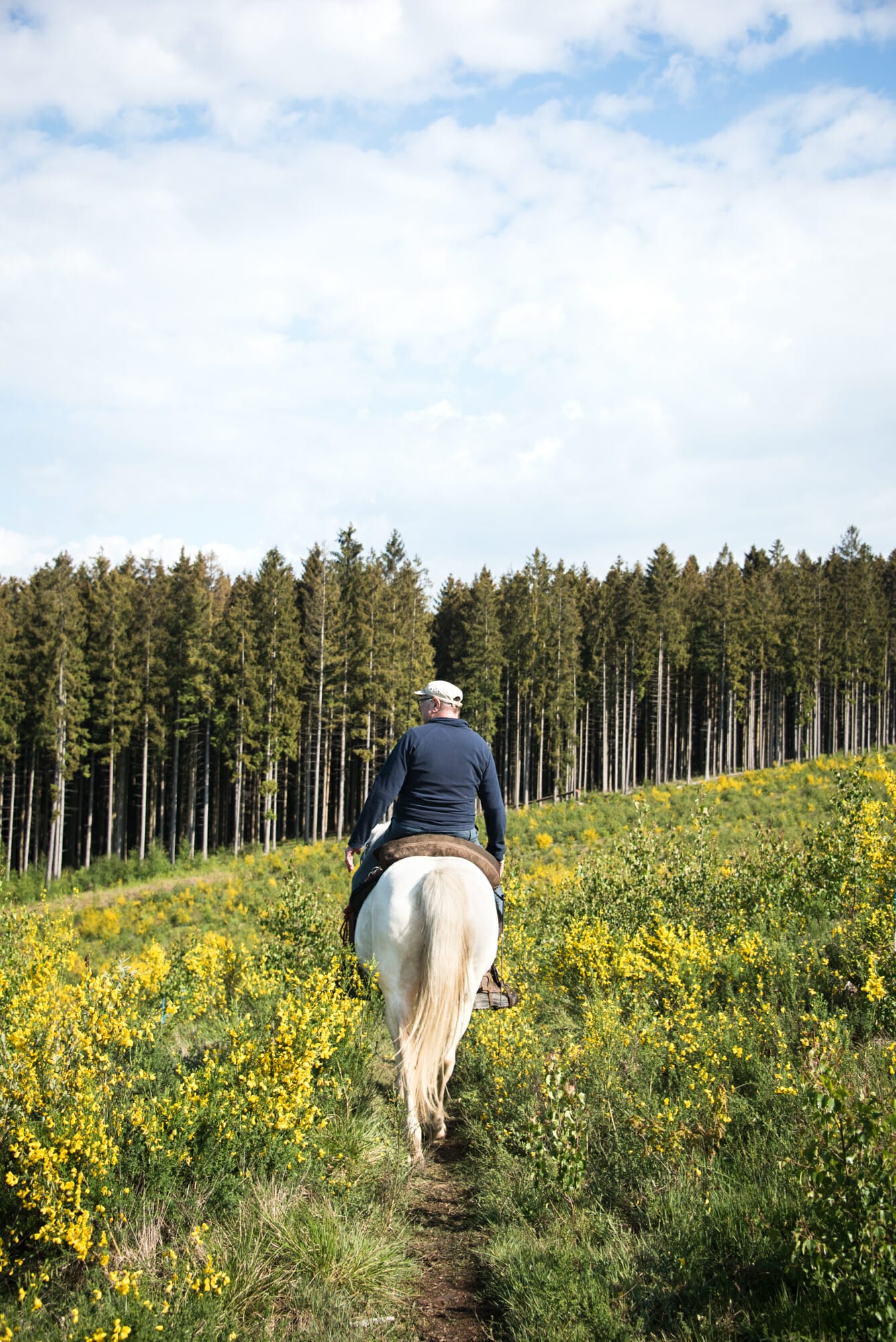 Randonner à cheval en Ardenne