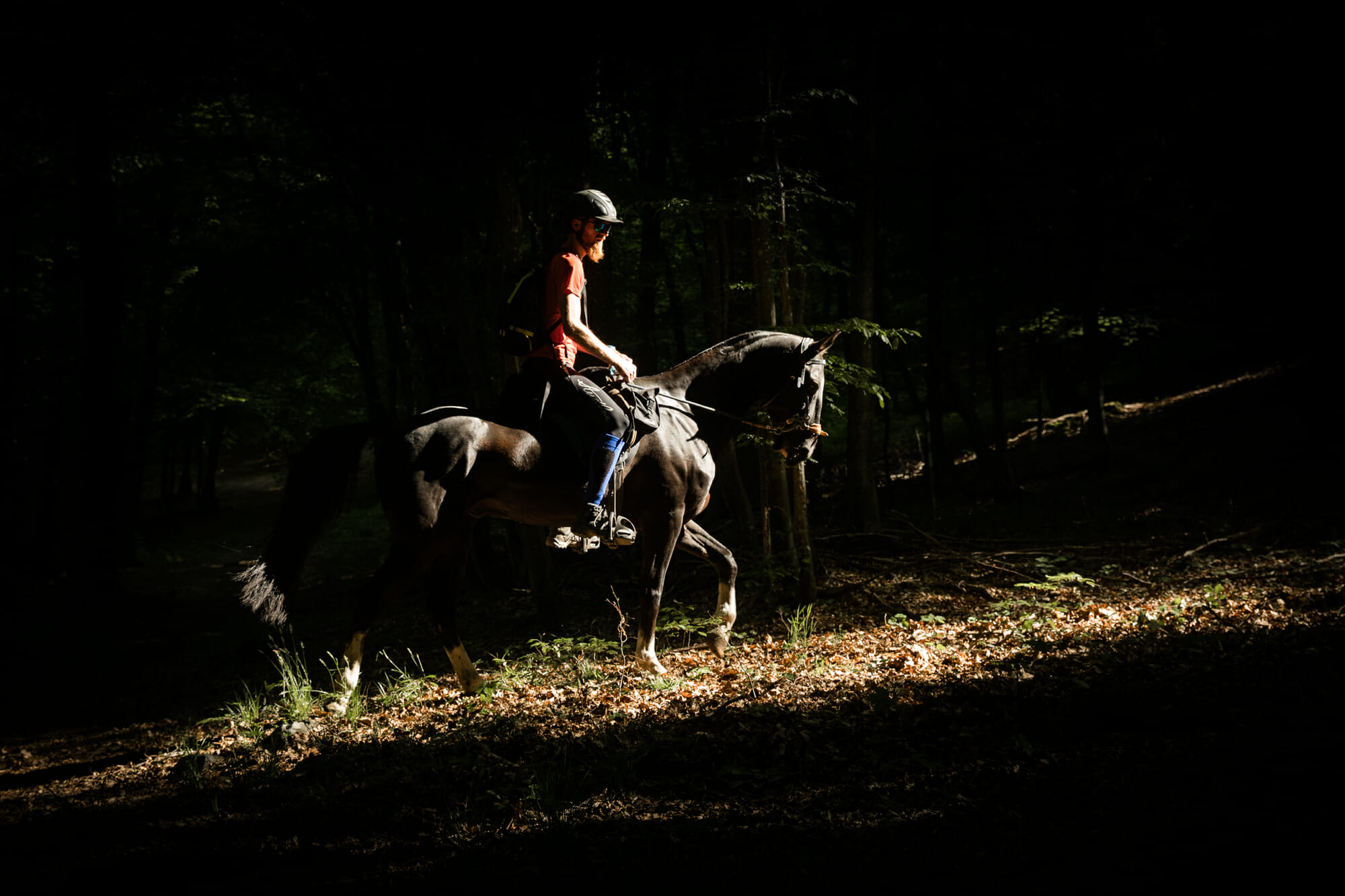 A cheval en Grande forêt de Saint-Hubert
