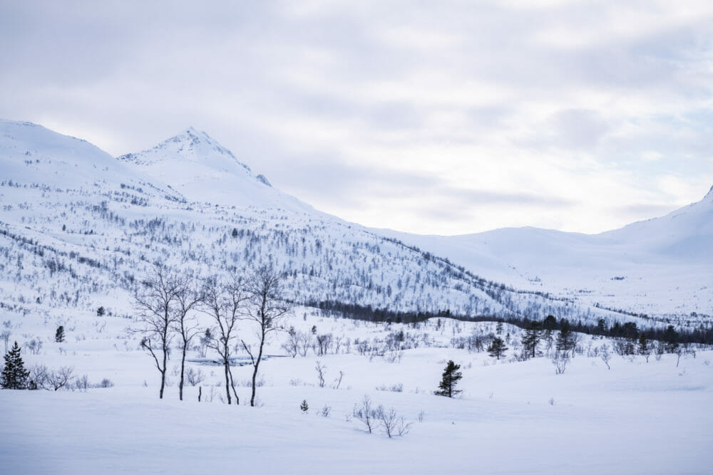 Île de Senja
