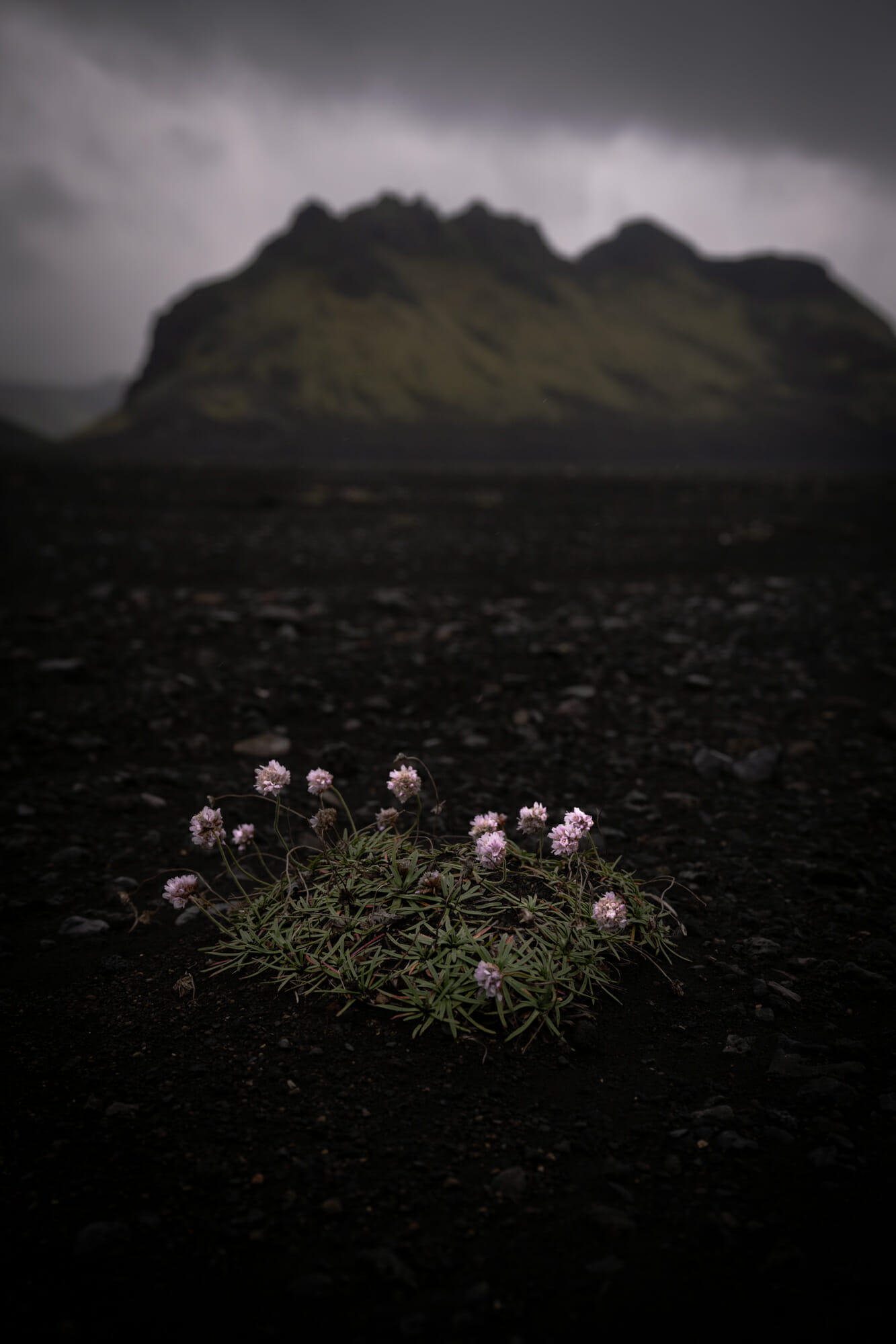 Iceland Trail, Trek du Laugavegur en Islande
