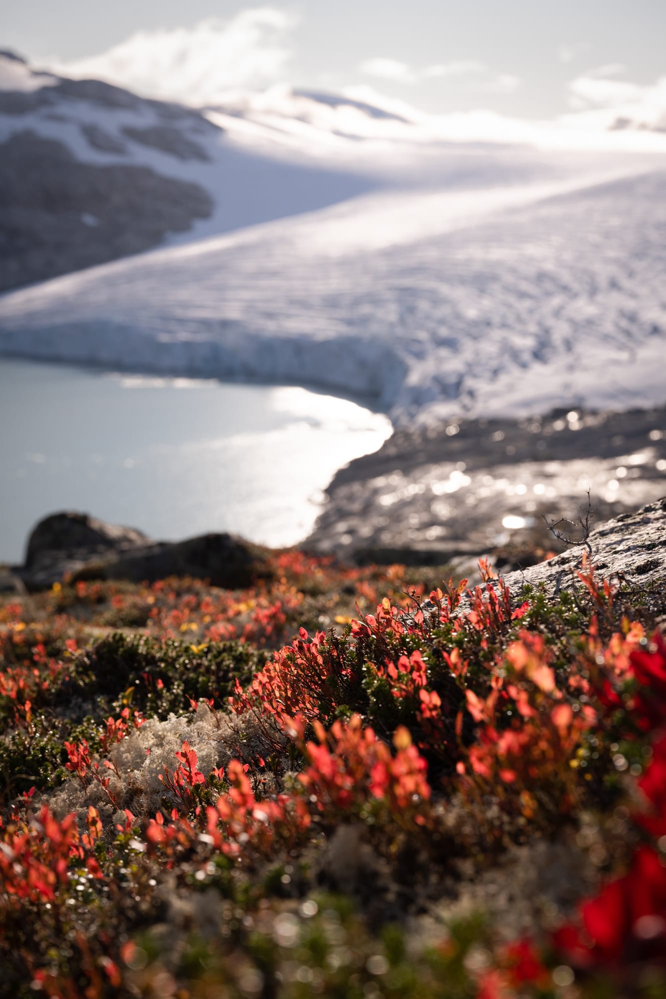 Glacier du Jostedalsbreen en Norvège