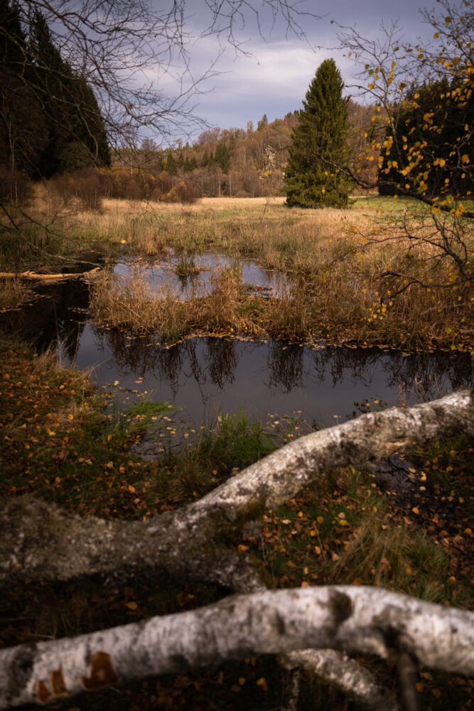 Randonnée au Rocher du Bieley