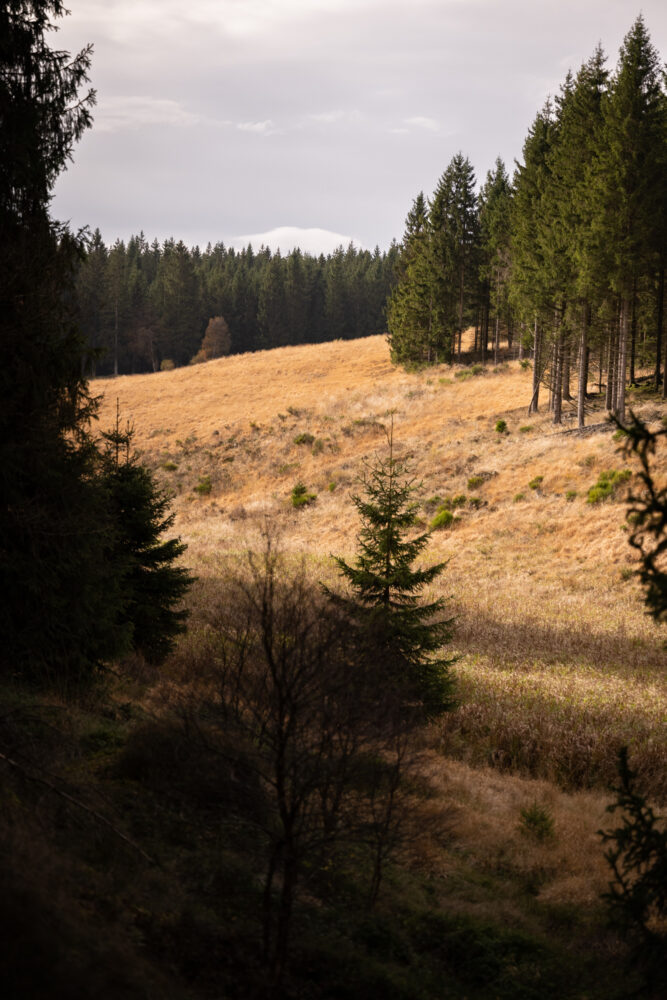 Randonnée au Rocher du Bieley