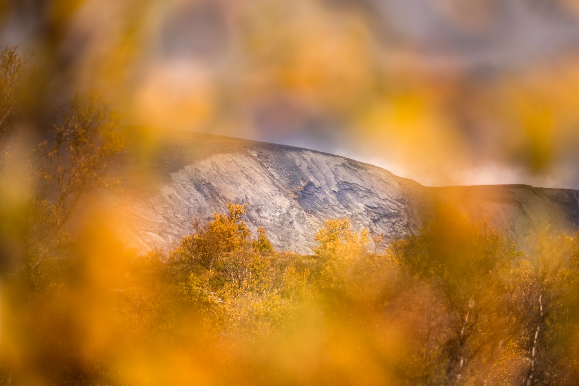 Parc national du Dovredjell