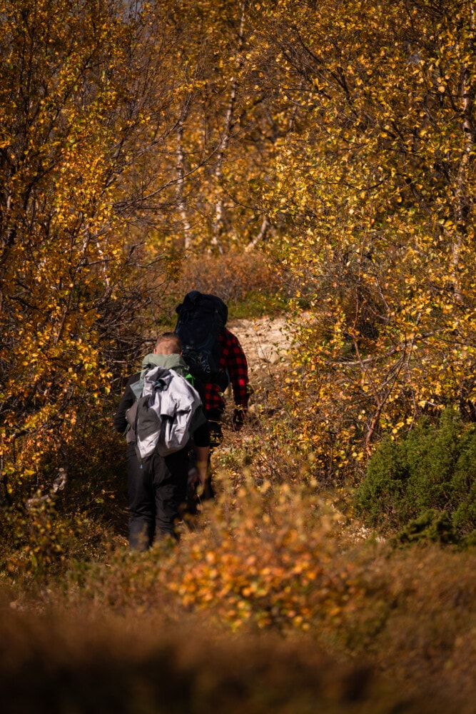 Randonneurs dans le parc national du Dovrefjell