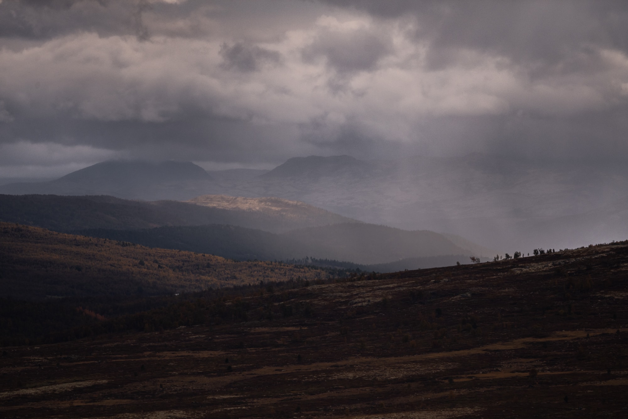 Parc national du Dovrefjell