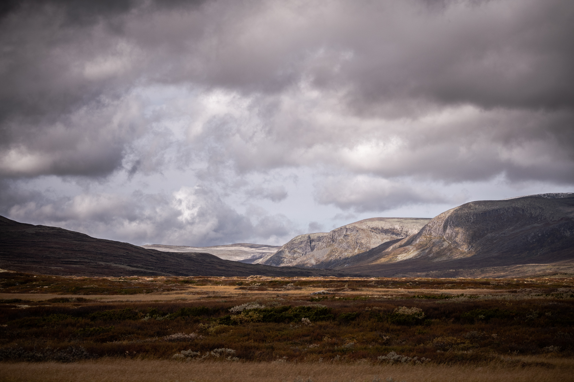 Parc national du Dovrefjell