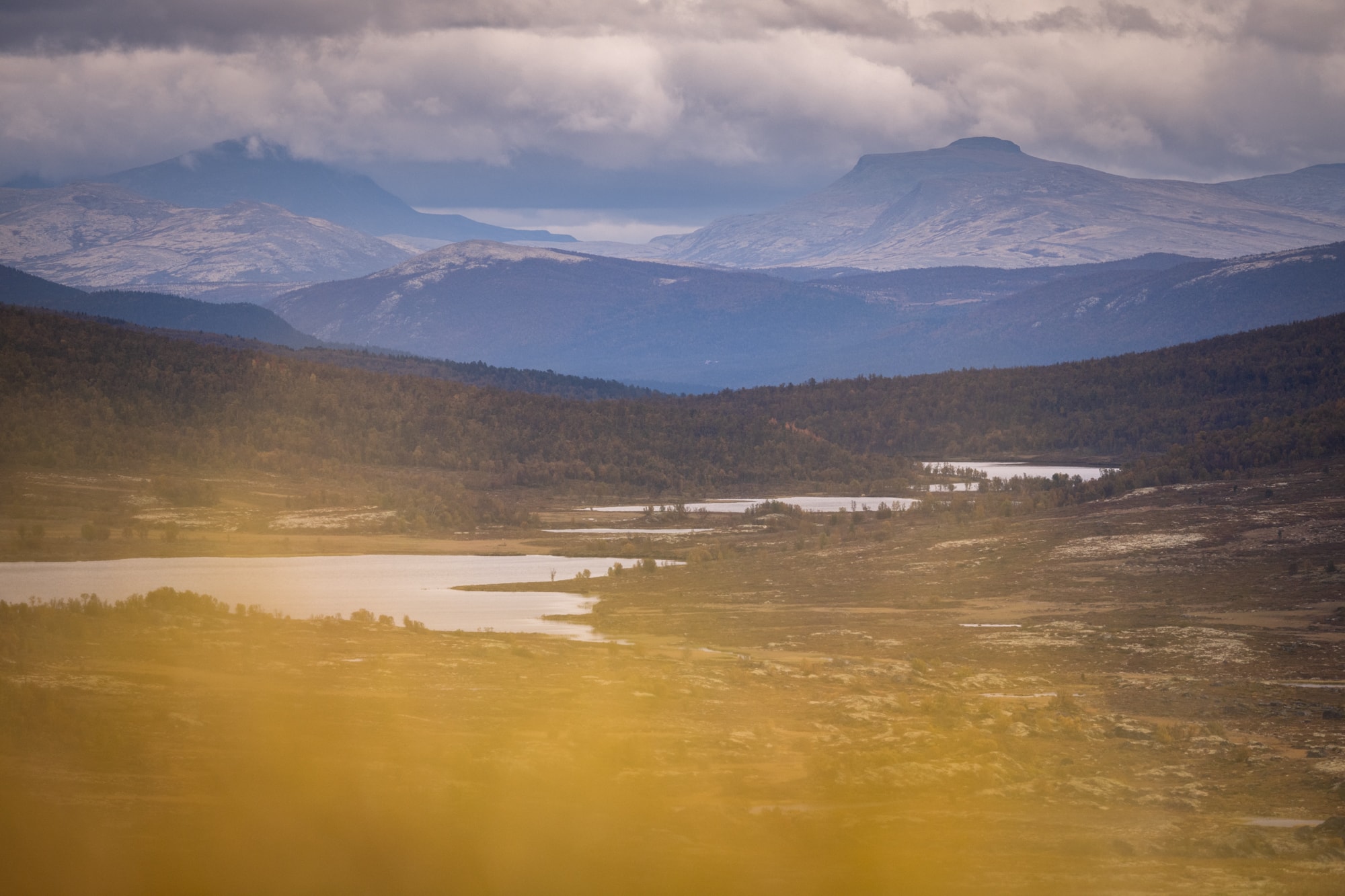 Parc national du Dovrefjell